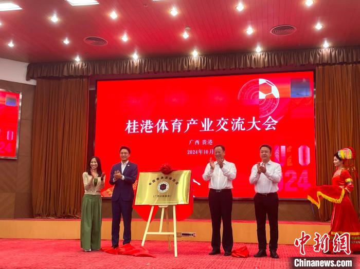 粤港澳大湾区与广西体育协同升级：香港足总广